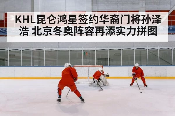 Chinese ice hockey team
